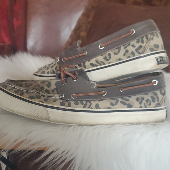 Sperry Topsider - Picture 5 of 6